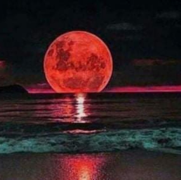 seawtchmoonchld